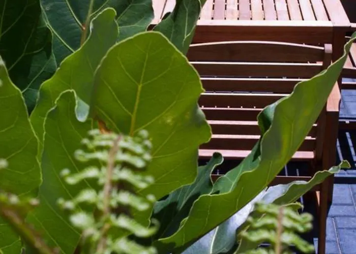 Regal Palms Resort